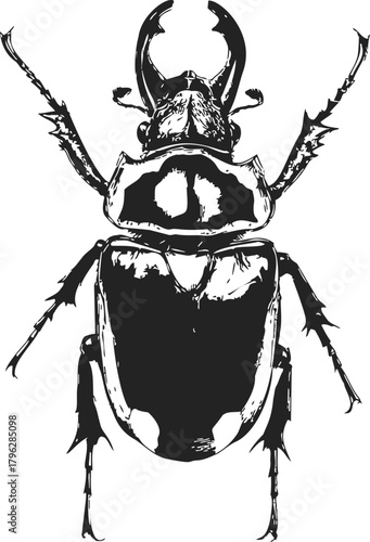 Stag beetle sketch hand drawn black and white detailed insect illustration — stock vector