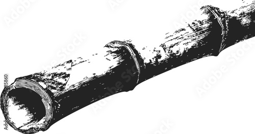 Bamboo stem sketch, hand drawn vector illustration of single bamboo stalk segment — stock vector