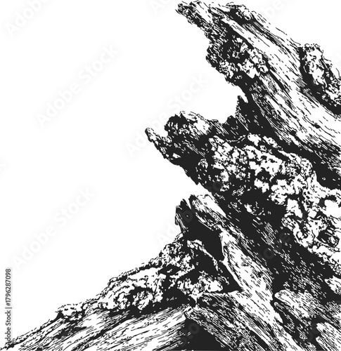 Tree bark texture sketch, hand drawn rough wood surface with detailed cracks — stock vector