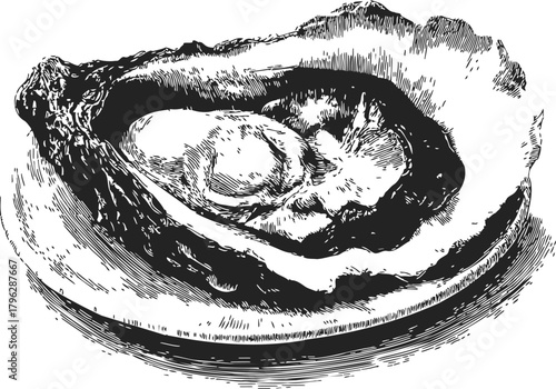 Oyster sketch hand drawn on plate detailed seafood shellfish illustration — stock vector