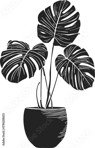 Monstera deliciosa sketch, hand drawn potted plant with large split leaves — stock vector