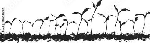 Seedlings sketch hand drawn in soil, various growth stages, black and white — stock vector