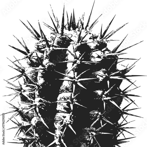 Cactus close up sketch, hand drawn black and white spiky plant — stock vector