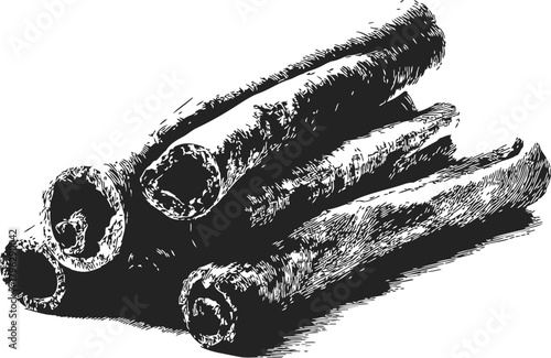 Cinnamon sticks sketch hand drawn aromatic spice bundle illustration — stock vector