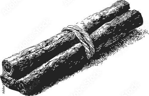Cinnamon sticks sketch hand drawn bundle tied with string — stock vector