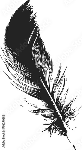 Feather sketch hand drawn black and white detailed illustration — stock vector
