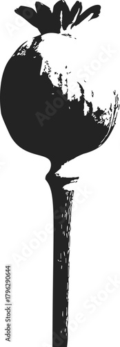 Poppy seed pod sketch, hand drawn botanical silhouette, isolated on white — stock vector