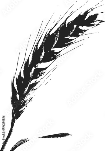 Wheat ear sketch hand drawn rustic botanical illustration on white background — stock vector