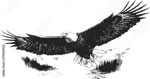 Eagle sketch hand drawn soaring with wings spread in flight over landscape — stock vector