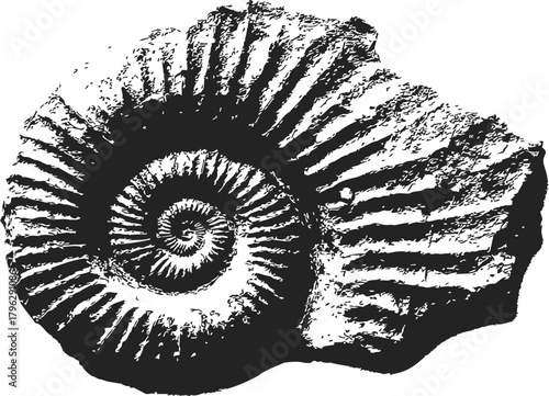 Ammonite fossil sketch, hand drawn vector with detailed spiral shell texture — stock vector