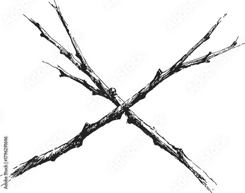 Wallpaper Mural Crossed sticks sketch, hand drawn style, rustic natural branches isolated — stock vector Torontodigital.ca