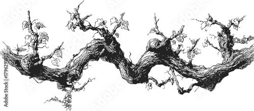 Gnarled tree branch sketch, hand drawn with twisted wood and sparse leaves — stock vector