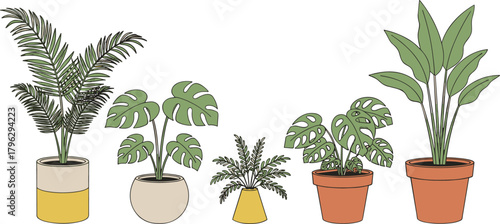 Collection of decorative indoor potted plants illustration featuring tropical leaves, monstera, palm, houseplants and botanical greenery for home decor