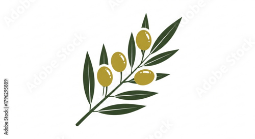 Illustration of an olive branch with green leaves and olives, representing nature, agriculture, and mediterranean culture