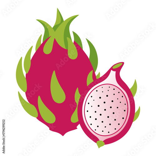 Fresh Dragon Fruit Illustration