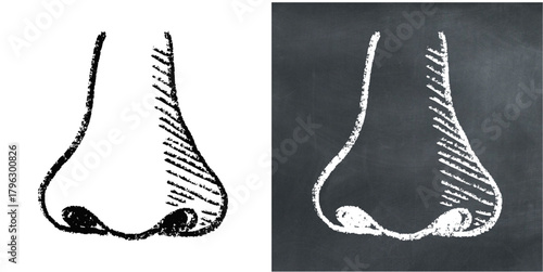 Chalk Handdrawn Nose Vector Ideal for medical, educational, anatomy, and sensory projects requiring a hand-drawn chalkboard aesthetic for the human body.