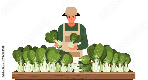 Farmer Appears to Be Harvesting Fresh Bok Choy for Sale in the Market