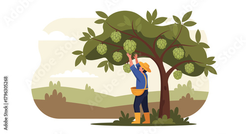 Farmer Gathering Ripe Fruits From A Lush Tree In The Serene Countryside Setting