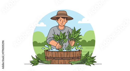 Farmer Harvesting Fresh Vegetables in a Wooden Tub Filled With Water