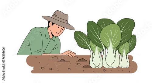 Farmer Observing Bok Choy in His Garden, Ready for Harvest and Healthy Growth