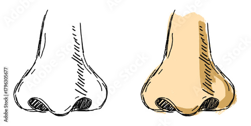 Grunge Sketch Handdrawn Nose Vector Ideal for medical, educational, or expressive anatomical projects requiring a raw, distressed sketch aesthetic for the human face.