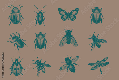 Vintage halftone collection. Trendy retro Wasp, Housefly, Potato Beetle, Ladybug, June Beetle, Cockroach, Stag Beetle, Butterfly, Dragonfly, Honey Bee. vector illustration.