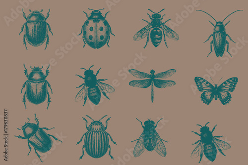 trendy halftone Insects vector illustration. Stag Beetle, Butterfly, Dragonfly, Honey Bee,  Wasp, Housefly, Potato Beetle, Ladybug, June Beetle, Cockroach