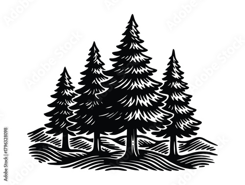 illustration of a small cluster of pine trees.