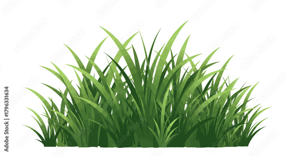 Obraz premium Isolated vector illustration of a vibrant green grass tuft, perfect for adding a natural touch to designs and providing a fresh, organic element.