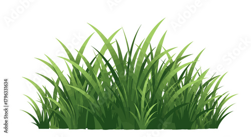 Isolated vector illustration of a vibrant green grass tuft, perfect for adding a natural touch to designs and providing a fresh, organic element.