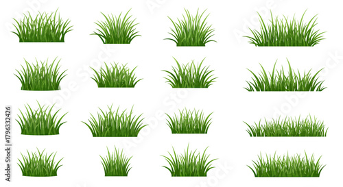 A collection of vibrant green grass vector illustrations, perfect for adding a natural element to your designs, available as a high-quality PNG asset for easy integration.