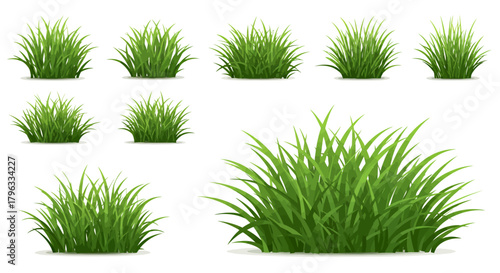 A collection of realistic grass tufts in various shapes and sizes, presented as a vector graphic with a transparent background, perfect for landscape design.