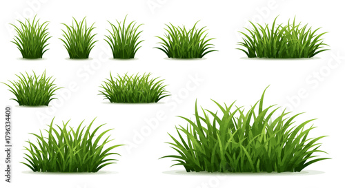 Collection of realistic green grass clumps and bushes in vector format, perfect for landscaping and nature design elements.