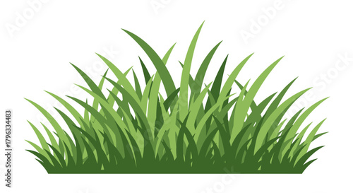 A vibrant green grass clump, rendered in a clean vector style, provides a versatile graphic element perfect for various design projects and natural themes.
