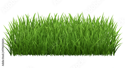 A vibrant, realistic strip of fresh green grass with individual blades stands isolated on a clean white background, perfect for design elements.