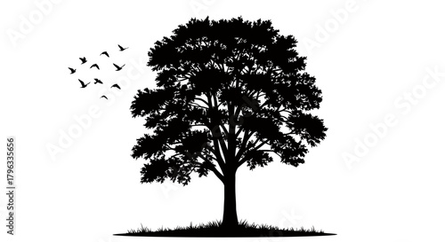 A striking black silhouette of a mature tree with birds flying past and green grass at its base, presented as a clean vector graphic.