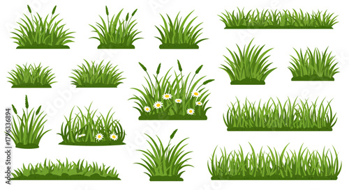 Collection of diverse green grass elements and tufts with small white flowers, presented as vector illustrations on a transparent background.