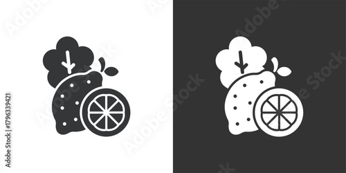 Vitamin C-Rich Food icon. Solid glyph series icon