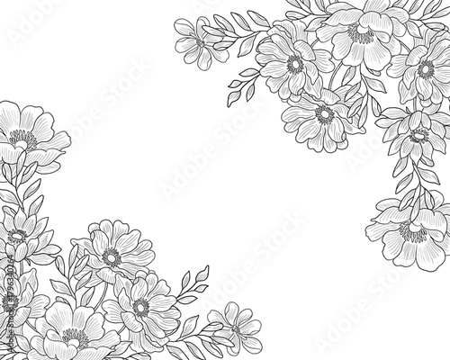 Hand Drawn Aster Line Art Flower Border