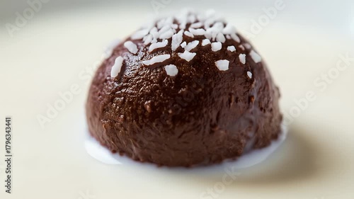 Decadent Chocolate Truffle with Coconut Flakes Drizzled in Creamy Sauce