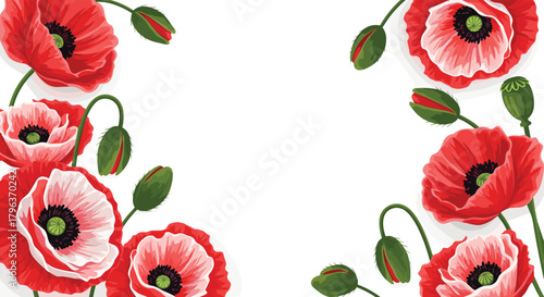 Vibrant red poppy flowers and green buds create a beautiful floral frame on a clean white background, perfect for copy space.