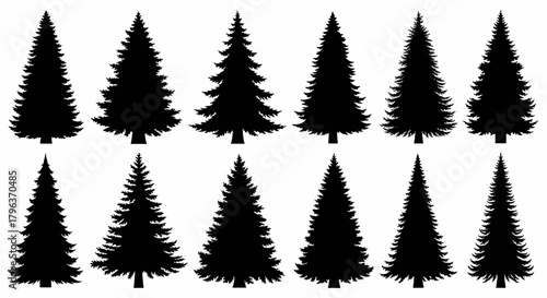various christmas tree silhouette