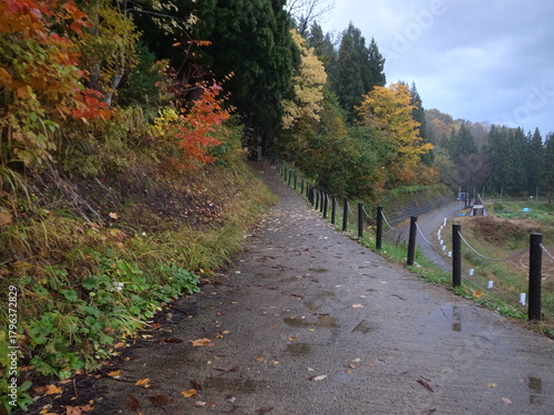 星峠の棚田　展望台