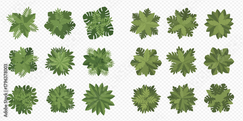 Collection of green tree tops seen from above, perfect for architectural plans and garden layouts.