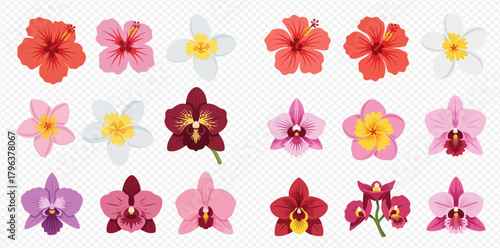 Vibrant collection of tropical flowers including hibiscus, plumeria, and orchids in various colors on a transparent background.