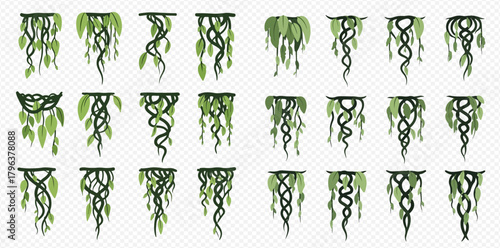 Set of various hanging jungle lianas and tropical vines with green leaves, graphic design elements on transparent background.
