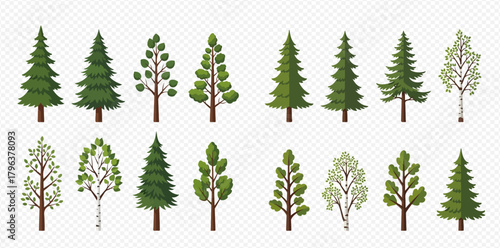 Vector illustration set of various stylized trees including firs, birches, and deciduous trees on transparent background.