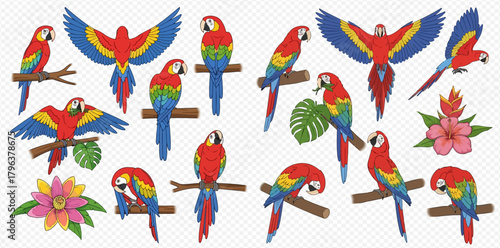 Set of vibrant cartoon scarlet macaws perched on branches and flying, accompanied by exotic flowers and leaves, on a transparent background.