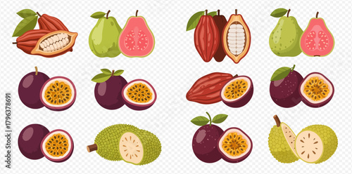 A vibrant collection of various tropical fruits including whole and cut cacao pods, guavas, passion fruits, and jackfruit, showcasing their colorful interiors.