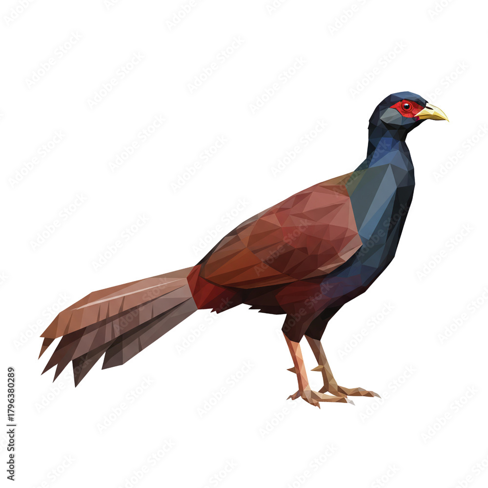 Fototapeta premium Low poly pheasant bird standing side view